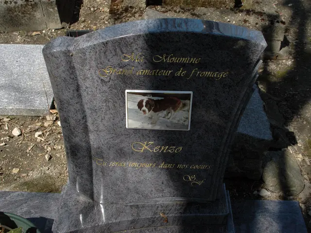 Sensenmann analyzes the significance and symbolism of the apparition, and deciphers its hidden...