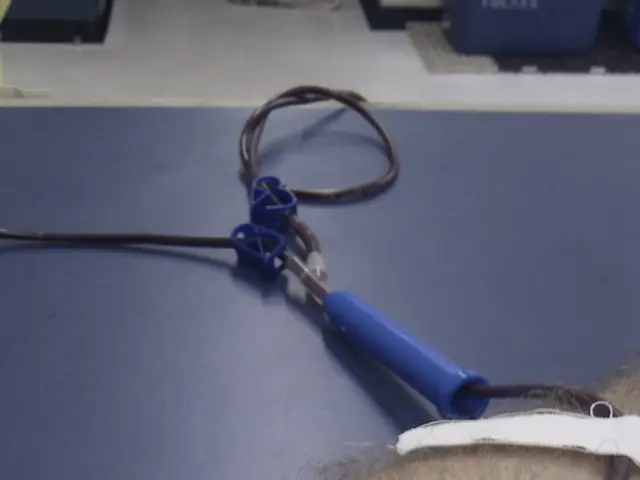 Medical Profession Faces Urgent Need for Increased Number of Family Physicians as Laumann Advocates...