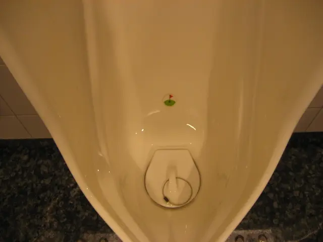 Disability Status of Overactive Bladder and Associated Rights and Entitlements