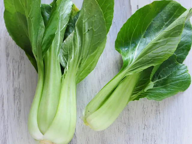 Overlooked Green Vegetable Rich in Cancer-Fighting Compounds Also Contains Abundant Magnesium,...