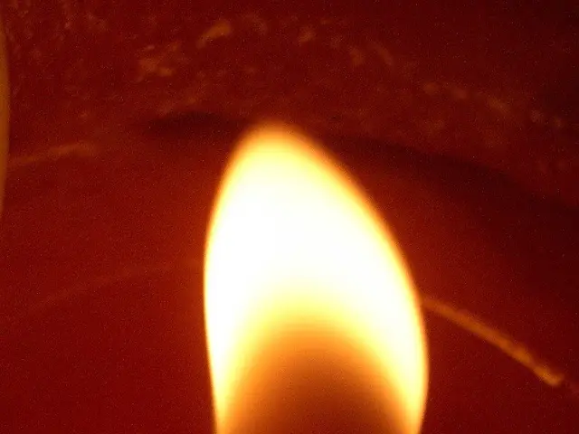 What is the matching soul companion of Cancer in astrological terms?