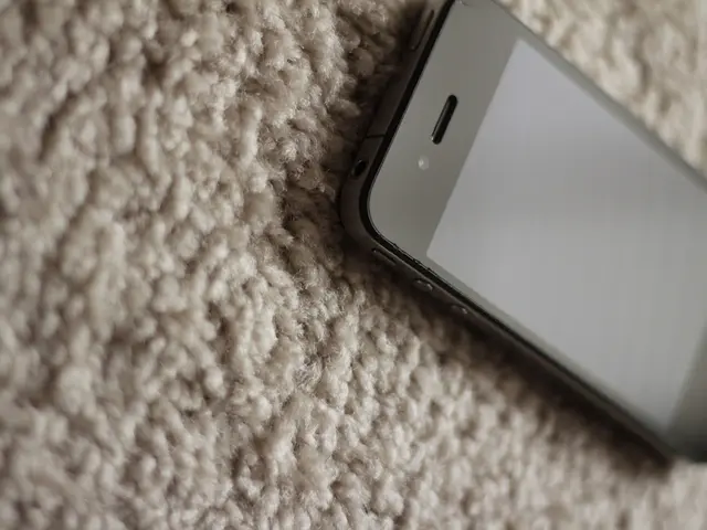 Cisco Launches Egypt's First Mobility-Focused CCIE Training Facility in Cooperation with MCIT and...