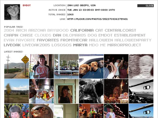 Job Categories Explained: Insight into Various Professions