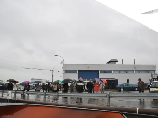 Barroso's Homeland Stirs Up Local Opposition Against Europe's Lithium Pursuit