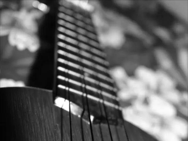 Enhancing Executive Functions in Students through Three UDL Principles