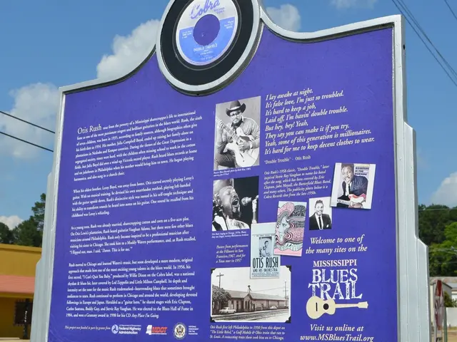 Title: The Executive Overseeing Education and Technology Within an Organization