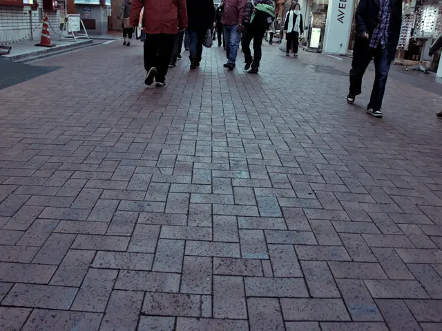 In the picture we can see a path with tiles and on it we can see some people are walking and...