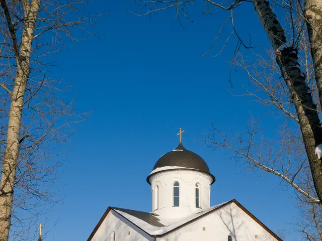 At the bottom of the picture, we see the shrubs and ice. In the middle of the picture, we see a...