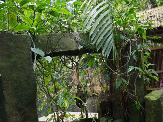 In this image, this looks like a well, which is built with the rocks. I can see a rope tied to the...