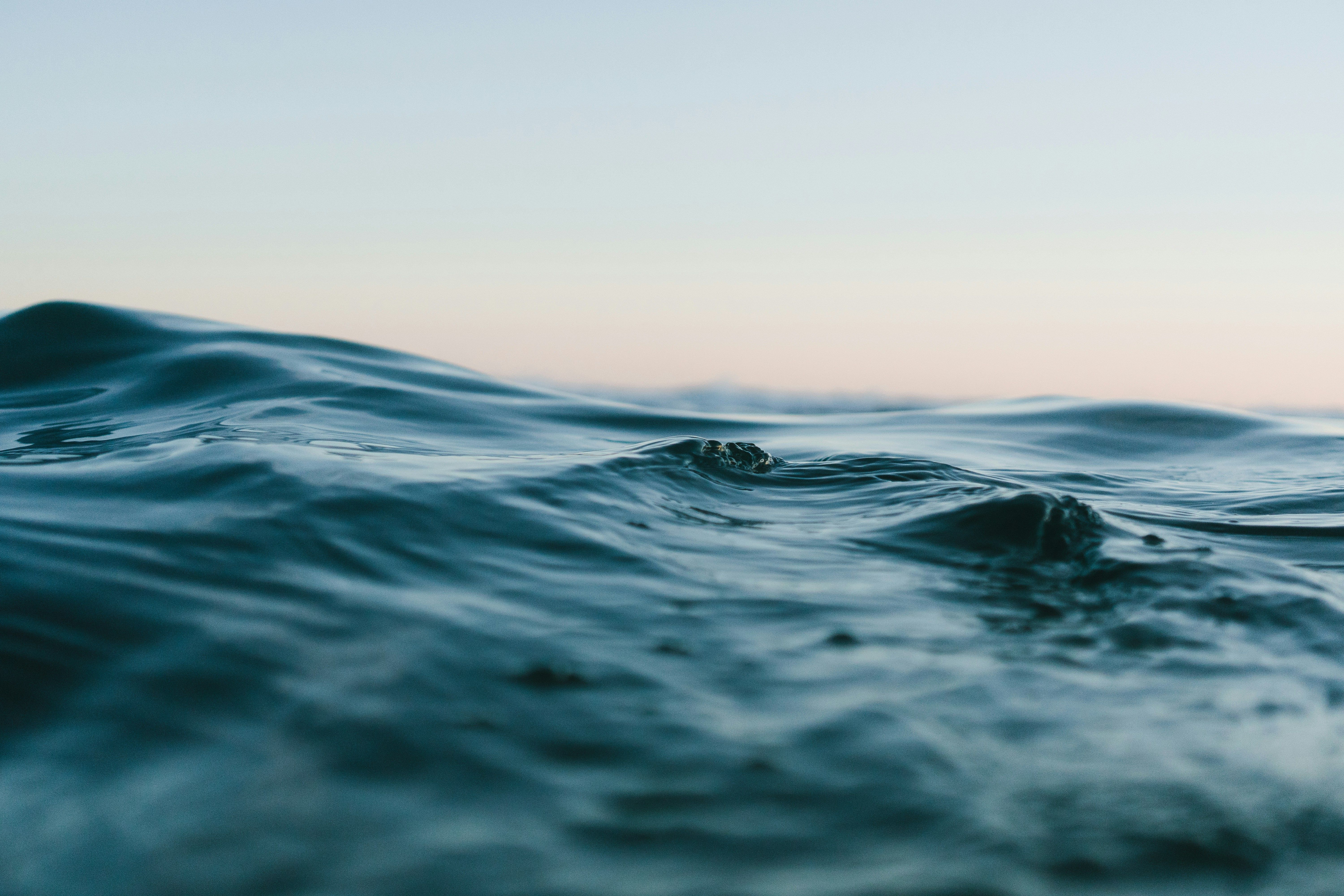Amidst disorder, focusing on elements you can influence may restore feelings of tranquility and authority.